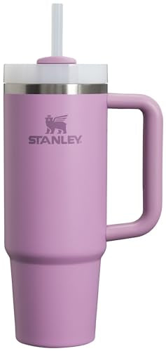 Stanley Quencher H2.0 FlowState Stainless Steel Vacuum Insulated Tumbler with Lid and Straw for Water, Iced Tea or Coffee, Smoothie and More, Black, 30 OZ / 0.89 L