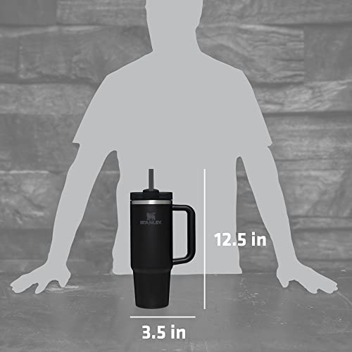 Stanley Quencher H2.0 FlowState Stainless Steel Vacuum Insulated Tumbler with Lid and Straw for Water, Iced Tea or Coffee, Smoothie and More, Black, 30 OZ / 0.89 L